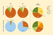 Kreis-Diagramm mit Anteilen der Baumarten im Altbestand im subalpinen Fichtenwald und im Cabonat-Lärchen-Zirbenwald.