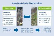 Grafik, die Eiegenschaften zweierlei Holzvarianten der Robinie zeigt