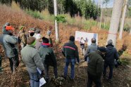 Eine Gruppe Menschen steht im Wald und guckt auf den Plakat, mit dessen Hilfe ein anderer Mensch etwas präsentiert