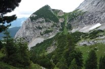 Ein Bergwald mit Blick auf die Berge.