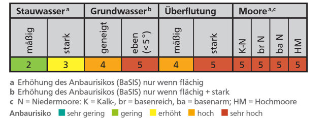 Tabelle mit verschiedenen Einflussfaktoren auf das Anbaurisiko der Buche