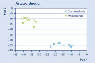 Diagramm zeigt die Trennung der Lindenarten. Weitere Informationen siehe Text.