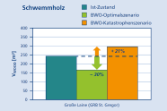 Im Katastrophenfall wird das Schwemmholz um bis zu 21% ansteigen