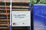 Blauer LKW mit geladenen Holzstämmen