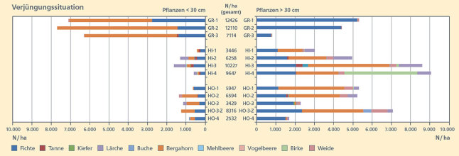 Balkendiagramm: Dargestellt werden die Pflanzenzahlen pro Hektar getrennt nach Höhenstufen und Baumarten. Weitere Informationen siehe Text.