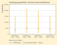 Grafik zur Verjüngungsdichte auf den Inventurflächen. Aufgezeichnet wurde der Zeitraum von 1991-2010. Nach einem Anstieg der Anzahl der Jungbäume, ging die Zahl dann in den Folgejahren wieder zurück. Zwischen 2006-2010 ist noch ein leichter Anstieg im Vergleich zum Beginn der Aufzeichnungen zu erkennen.