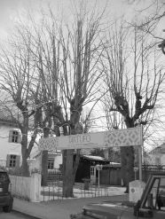 Biergarten mit gekappten Kastanien