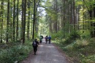 Spaziergänger auf einem Waldweg