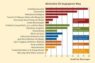 Buntes Balkendiagramm mit vielen Balken die die Motivation für den begangenen Weg angibt; wichtigster Grund: Zufall