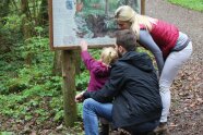 Eine junge und für viele Leute "klassische" Familie ist auf einem Waldweg und betrachtet eine Infotafel