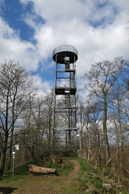 Metallener Aussichtsturm im Wald.
