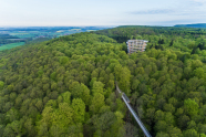 Blick auf einen mit Laubwald bestandenen Berg mit Holzaussichtsturm.