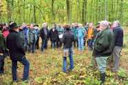 In einem Halbkreis stehen etliche Personen im Wald um eine Einzelperson, die etwas vorträgt.