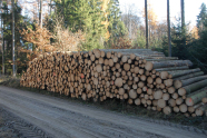 Holzpolder am Wegesrand