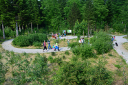 Besucher auf einem Rundweg in einem forstlichen Lehrgarten.