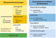 Skizze zum Projekt Ökosystemdienstleistungen des Waldes