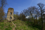 Burgruine auf einem Berg.