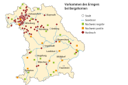 Die Grafik zeigt das Vorkommen des Erregers bei Bergahornen.