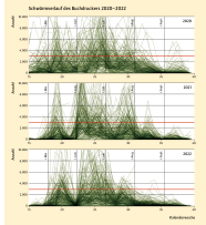 Die Grafik zeigt den Schwärmerverlauf des Buchdruckers von Mai bis September von 2020-2022.