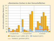 Das Säulendiagramm zeigt den prozentualen Anteil an "resistenten" Eschen in 20 Versuchsbeständen die in dem Zeitraum 2009-2011 der Vitalität 0 bis1 und im Jahr 2011 der Vitalität 0 zugeordnet werden konnten. Die rote Linie markiert den Mittelwert der Bäume der Vitalität 0 im Jahr 2011.