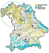 Überwachungsgebiet Eichenschädlinge