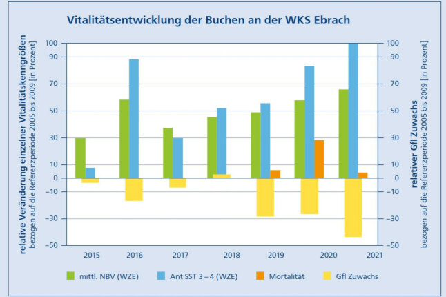 Balkendiagramm zeigt Vitalitätsentwicklung der Altbuchen in Ebrach