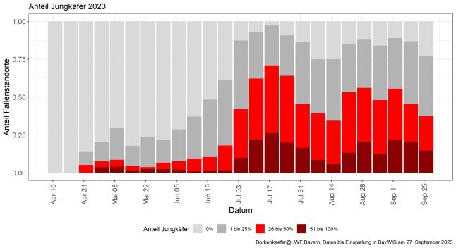 Balkendiagramm zeigt die gemeldeten Anteile der Jungkäfer in den Fallenfängen aller Monitoringstandorte. Es ist ein Anstieg der Jungkäferanteile deutlich erkennbar.