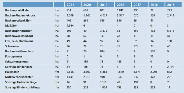Tabelle zeigt Zahlen zu biotischen Schäden an Buchen