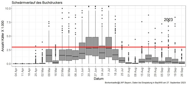 Boxplot-Grafik zeigt den Schwärmverlauf des Buchdruckers 2023