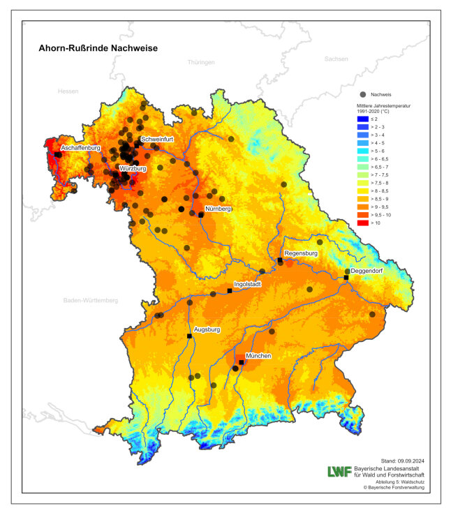 Bayernkarte mit Rußrindenvorkommen und Durchschnittstemperaturen.