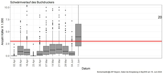 Diagramm zeigt Schwärmverlauf des Buchdruckers