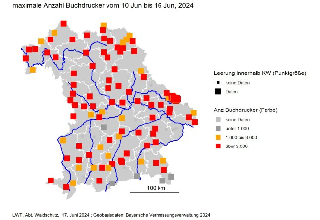 Bayernkarte zeigt maximale Anzahl Buchdrucker vom 10. bis 16. Juni 2024