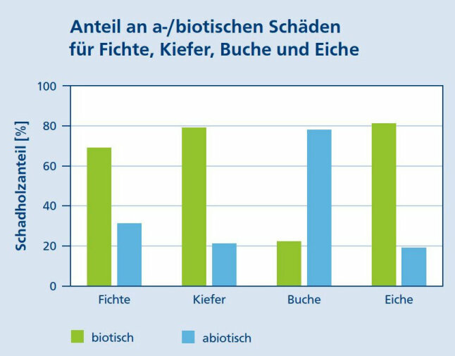 Balkendiagramme zeigen für einzelne Baumarten die Anteile a- bzw. biotischer Schäden