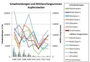 Kombiniertes Linien- und Säulendiagramm. In den Jahren 2007 und 2011 sind deutliche Populationseinbrüche zu sehen. Der Aufwärtstrend von 2012 wird 2013 in 4 von 7 Regierungsbezirken fortgesetzt.