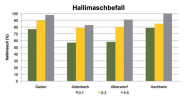 Das gegliederte Säulendiagramm zeigt den Hallimaschbefall an Eschen auf vier Standorten in Prozent. In allen Vitalitätsstufen ist der Befall deutlich über 50 Prozent und nimmt bei sinkender Vitalität zu.