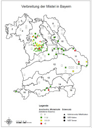 Bayerische Landkarten, auf der der Mistelbefall bayernweit eingezeichtet ist. Befallen sind insbesodnere Kiefern in Mittelfranken
