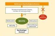 Grafik, die den Srtellenwert von Nachhaltigkeitsthemen zeigt