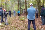 Eine Gruppe Menschen steht im Wald und unterhält sich