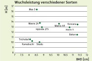 Grafische Darstellung der Wuchsleistung verschiedener Pappelsorten.