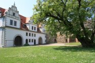 Bild von Robinie mit Schloss im Hintergrund
