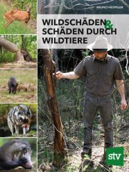 Mann mit Outdoorklamotten schaut einen Baum ohne Rinde an; linke Seite mit Tierportraits