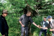 Teilnehmer der Exkursion begutachten den Wald