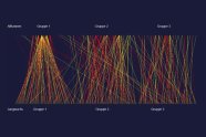 Blauer Hintergrund, darauf rote und gelbe Linien, die von oben nach unten verlaufen, und sich in Bündeln trennen bzw. treffen 