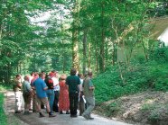 Gruppe Menschen im Wald.