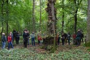 Die Gruppe steht um einem alten Baum im Laubwald