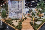 Ausstellungsbereich mit Flechten-Kiefernwald als begehbares Diorama,