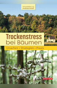 Titel "Trockenstress bei Bäumen"