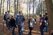 Menschen stehen im Wald und unterhalten sich