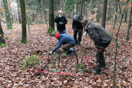 Drei Menschen bücken gucken auf laubigen Waldboden