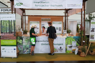 Stand der ASP